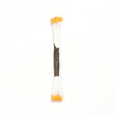 Pme Plain Stamen Fine - Peach