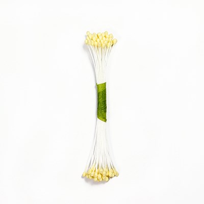 Pme Plain Stamen Medium - Ivory