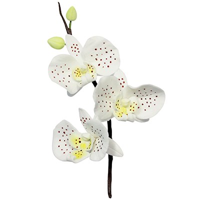 Pme Shapes Plunger Cutters - Moth Orchid Flower Petal Set Of 3