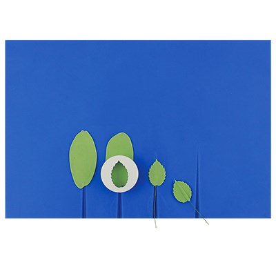 Pme Small Veined Rolling Out Board (250 X 170 X 8mm / 9.8 X 6.7 0.3)