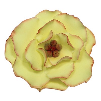 Pme Stainless Steel Cutters - Briar Rose Flower Petal Set Of 4