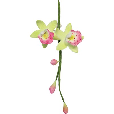 Pme Stainless Steel Cutters - Cymbidium Orchid Set Of 2