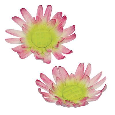 Pme Stainless Steel Cutters - Medium Daisy 8 Petal Set Of 2