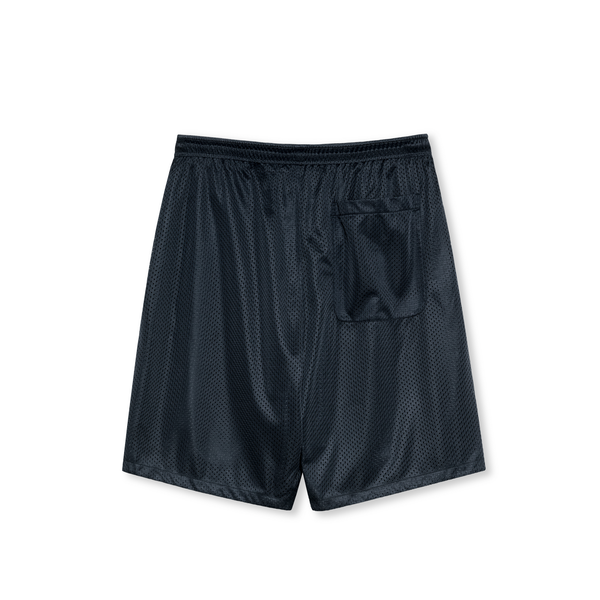 Polar Skate Co. Ray Shorts - Navy