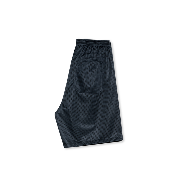 Polar Skate Co. Ray Shorts - Navy