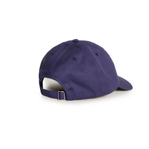 Polar Skate Co. Sai Cap | College Logo - Navy