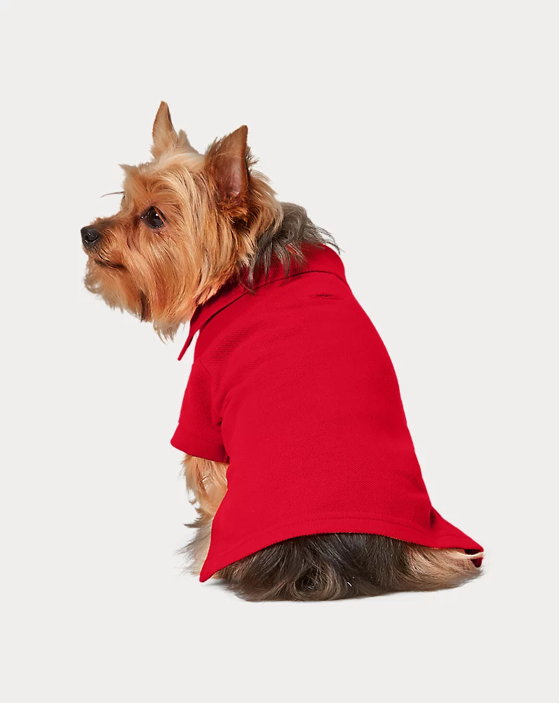 Polo Golf Ralph Lauren Cotton Mesh Dog Polo Shirt