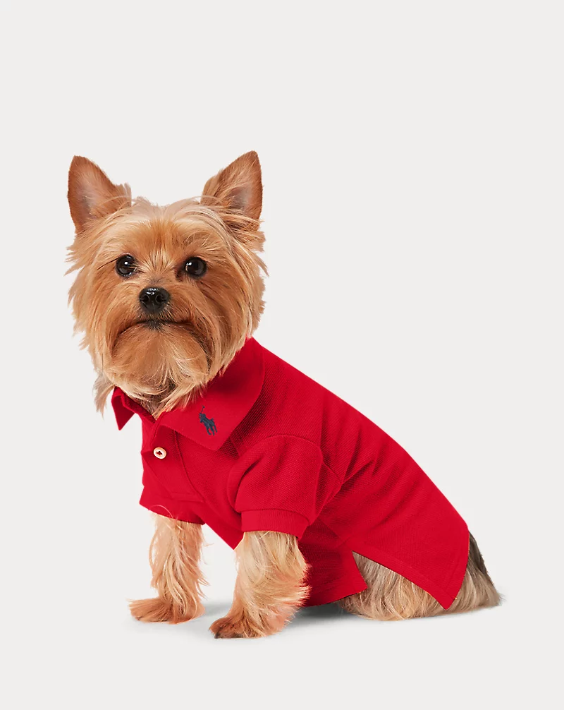 polo golf ralph lauren Cotton Mesh Dog Polo Shirt