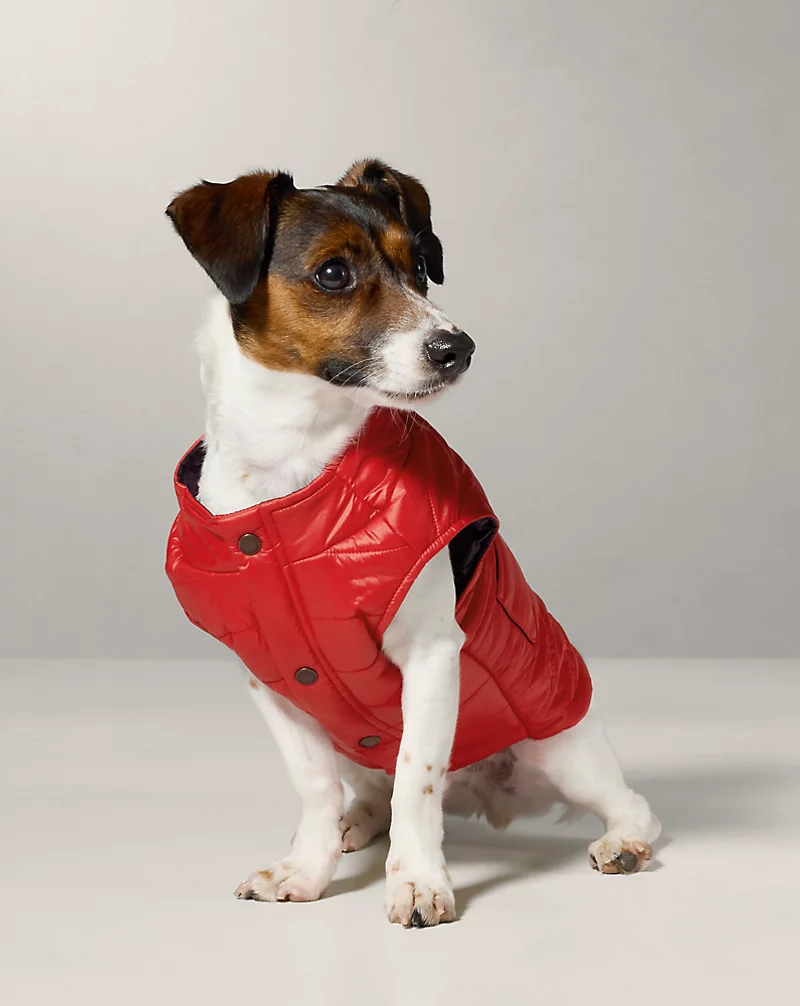 polo golf ralph lauren Dog Puffer Jacket