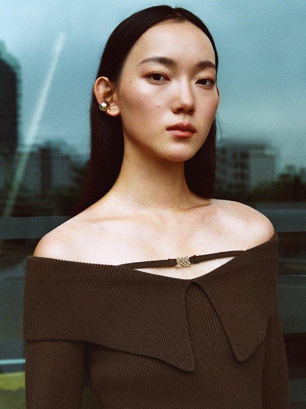 Pomelo Pomelo Flap-Collar Off-Shoulder Knit Top - Brown