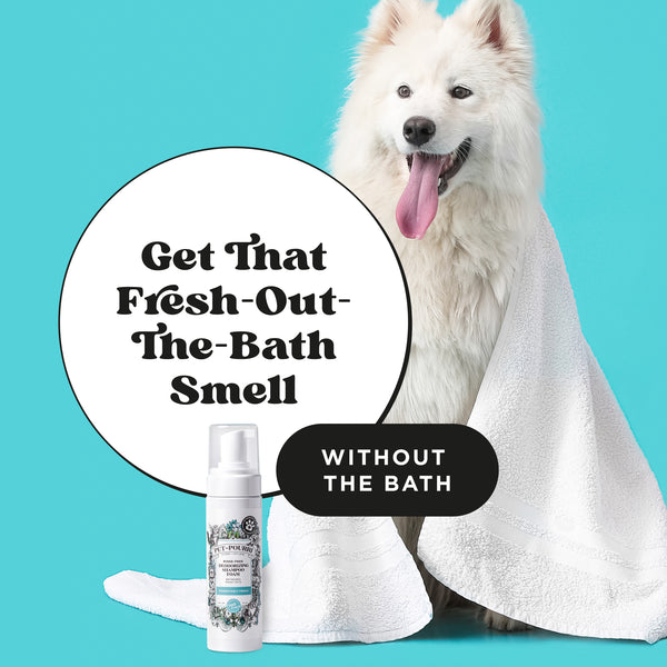 Poo Pourri Pet~Pourri Rinse-Free Shampoo: Fresher Coat For Your Pet