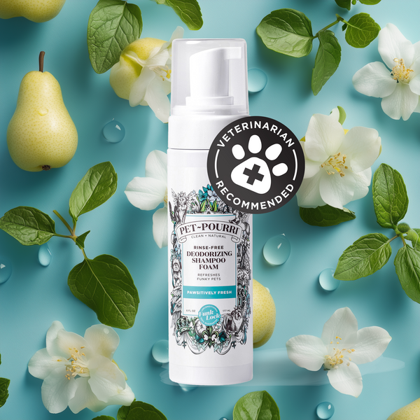 poo pourri Pet~Pourri Rinse-Free Shampoo: Fresher Coat for Your Pet