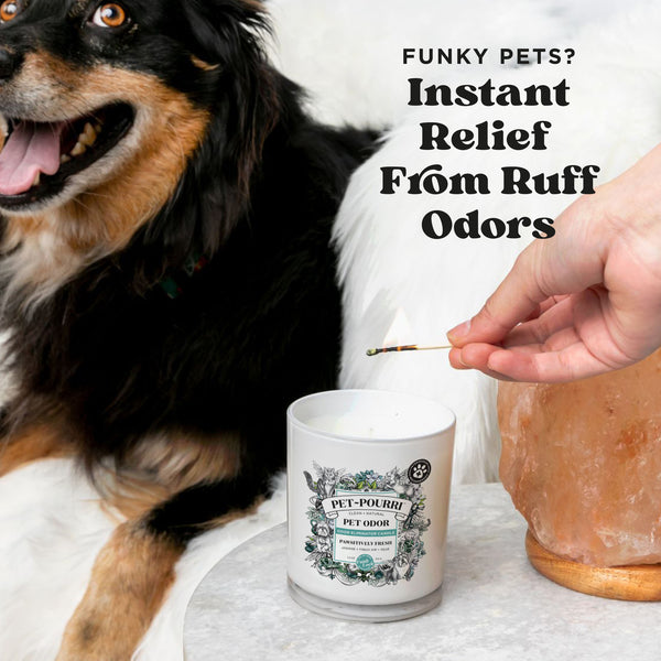 Poo Pourri Pet~Pourri's Pawsitively Fresh Candle: Fresh Home For Pets