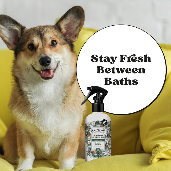Poo Pourri Dog Coat Refresher - Pet~Pourri