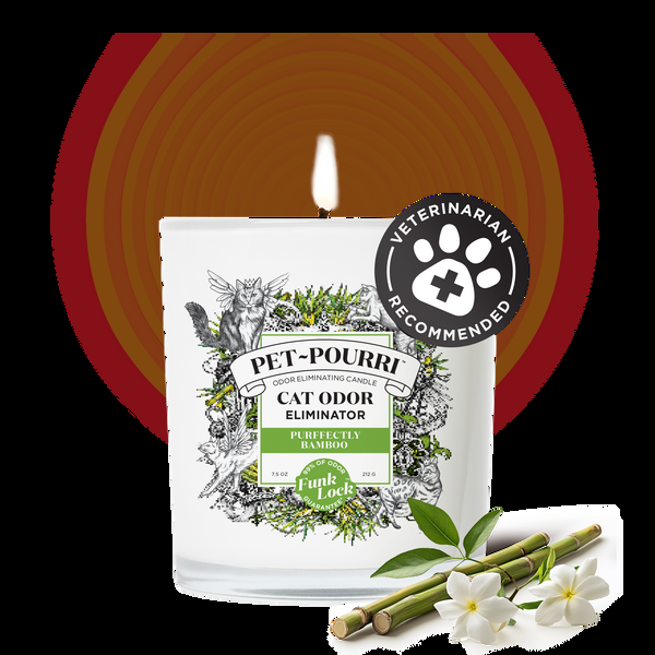 Poo Pourri Purrfectly Bamboo Candle By ~Pourri: Pet-Safe Scent
