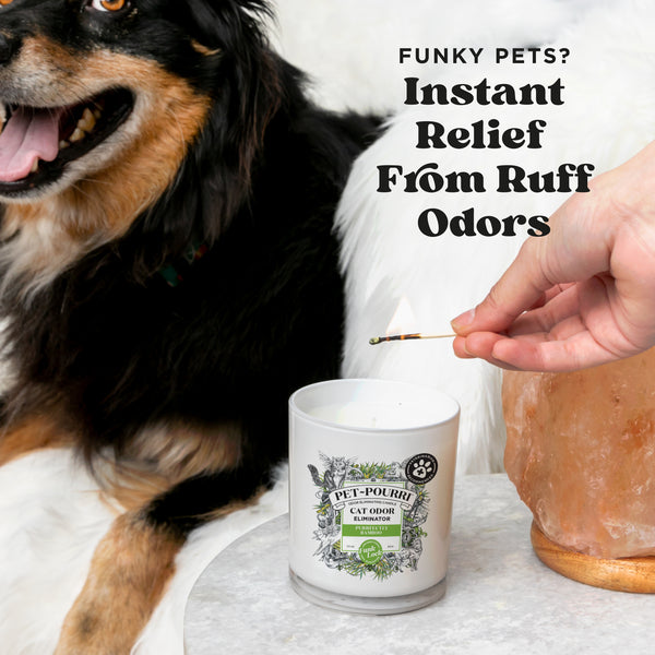Poo Pourri Purrfectly Bamboo Candle By ~Pourri: Pet-Safe Scent