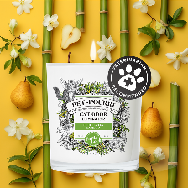 poo pourri Purrfectly Bamboo Candle by ~Pourri: Pet-Safe Scent