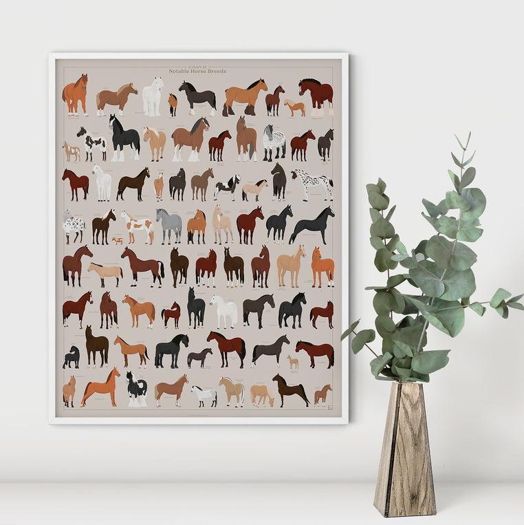 Pop Chart Lab A Chart Of Notable Horse Breeds – Pop Chart