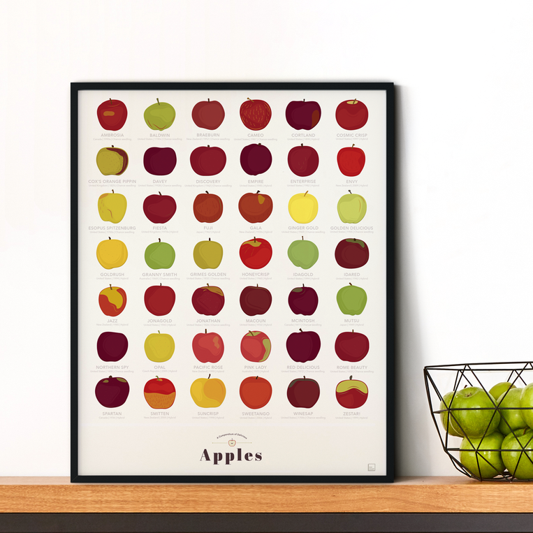 Pop Chart Lab A Compendium Of Delicious Apples – Pop Chart