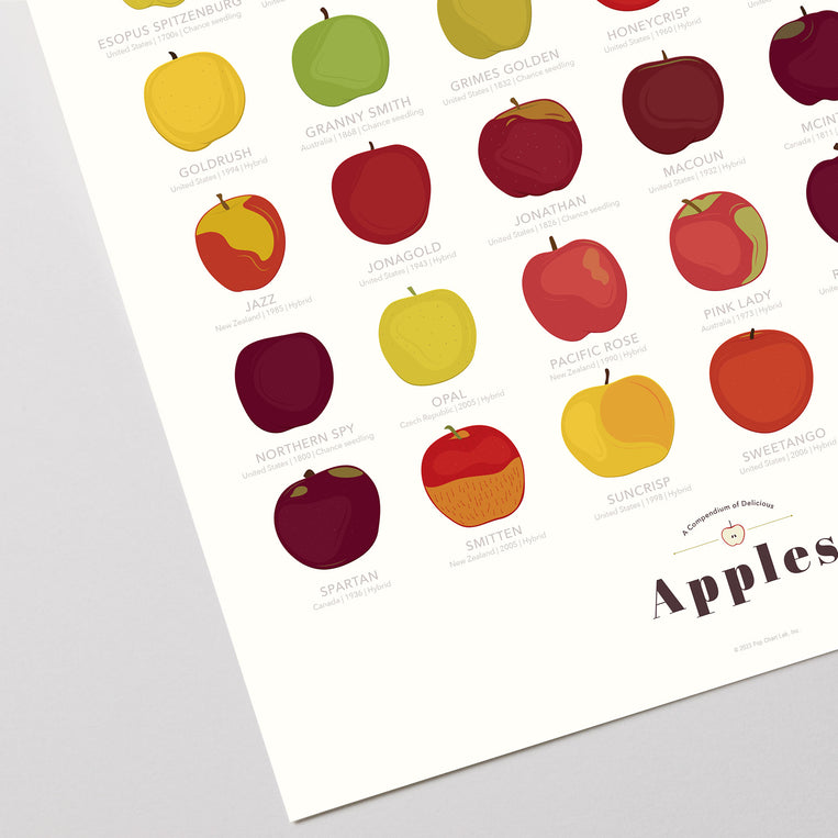 Pop Chart Lab A Compendium Of Delicious Apples – Pop Chart