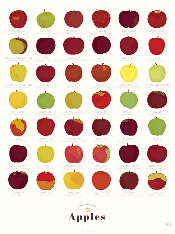pop chart lab A Compendium of Delicious Apples – Pop Chart