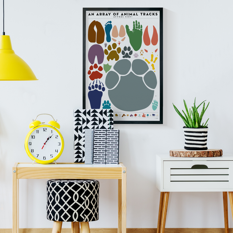Pop Chart Lab An Array Of Animal Tracks: Actual Size – Pop Chart