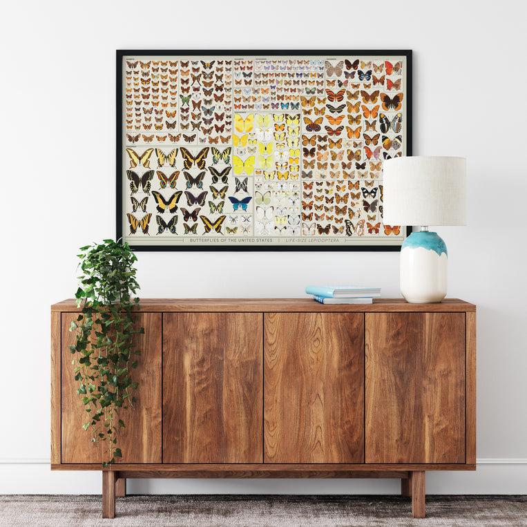 Pop Chart Lab Butterflies Of The United States: Life-Sized – Pop Chart