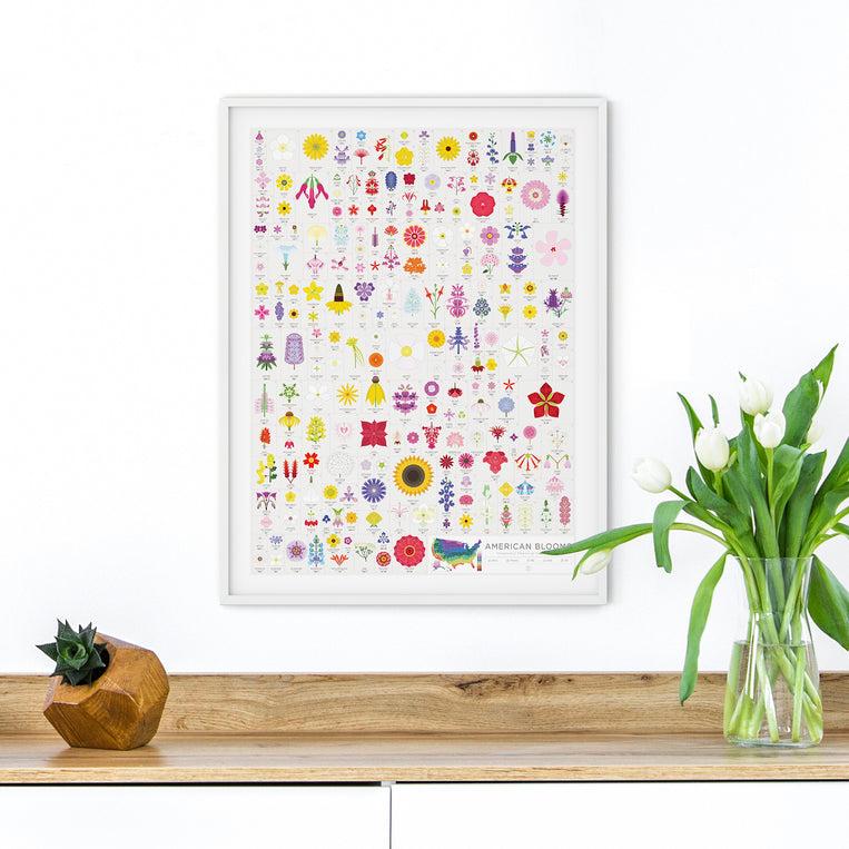 Pop Chart Lab American Blooms – Pop Chart