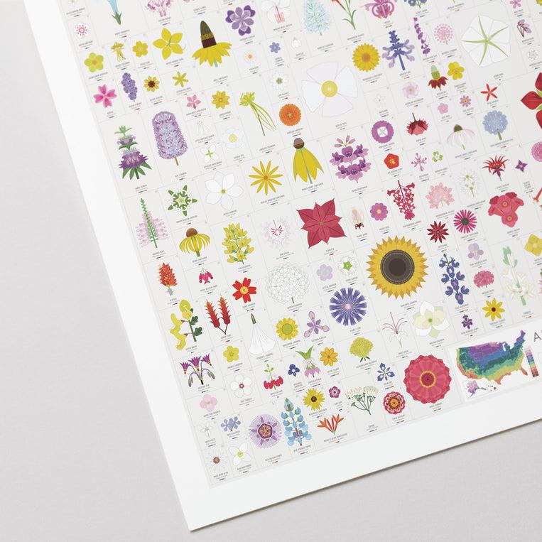 Pop Chart Lab American Blooms – Pop Chart