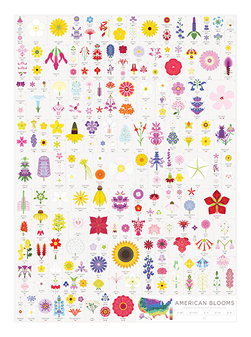 pop chart lab American Blooms – Pop Chart