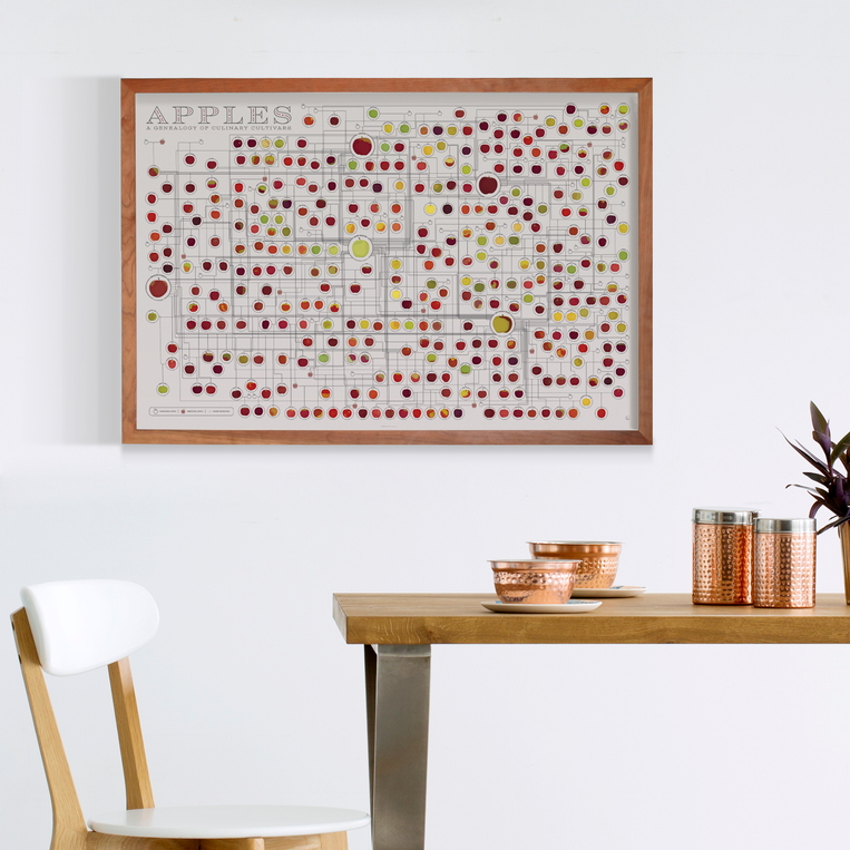 Pop Chart Lab Apples: A Genealogy – Pop Chart