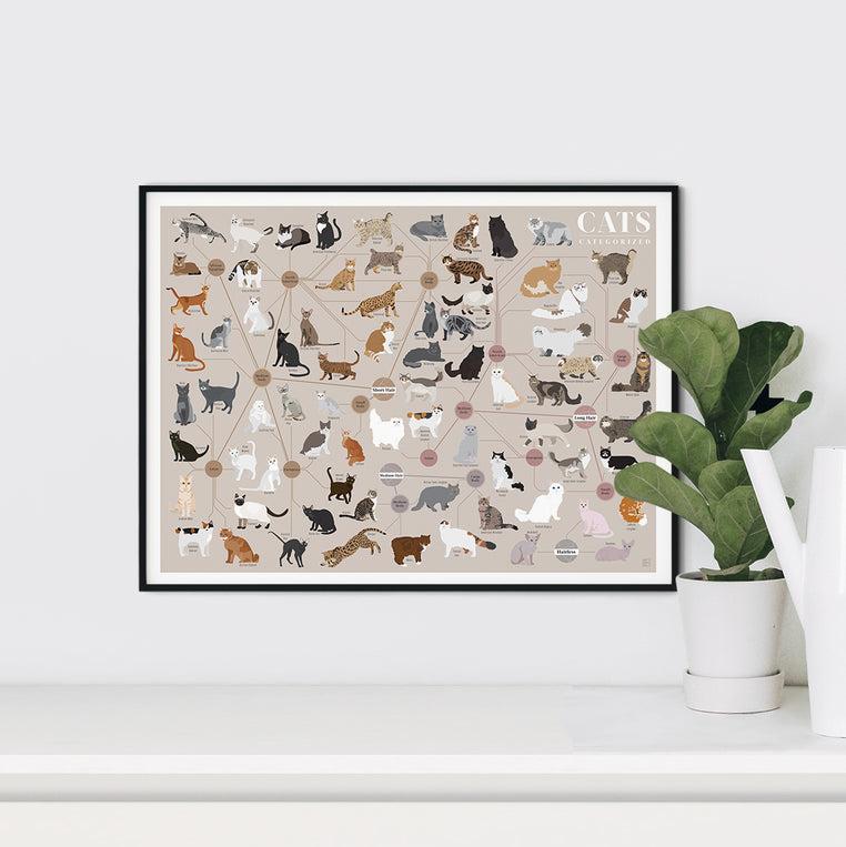 Pop Chart Lab Cats Categorized – Pop Chart