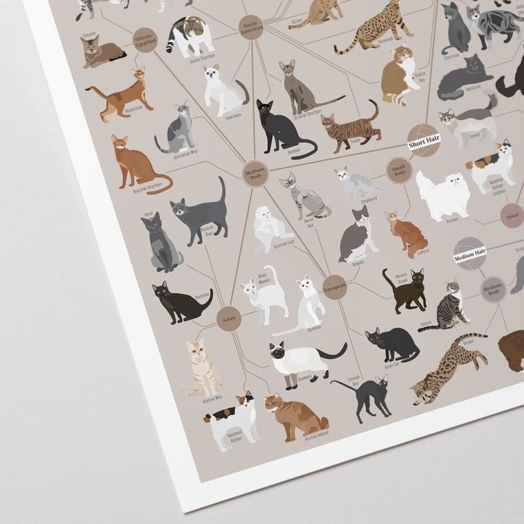 Pop Chart Lab Cats Categorized – Pop Chart