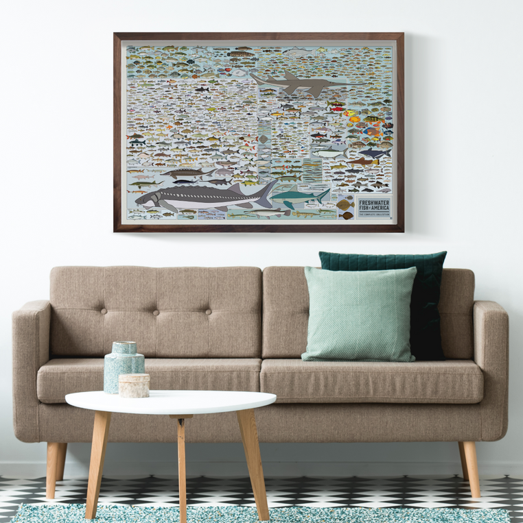 Pop Chart Lab Freshwater Fish Of America – Pop Chart