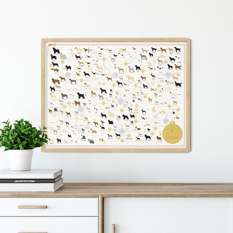 Pop Chart Lab The Diagram Of Dogs – Pop Chart