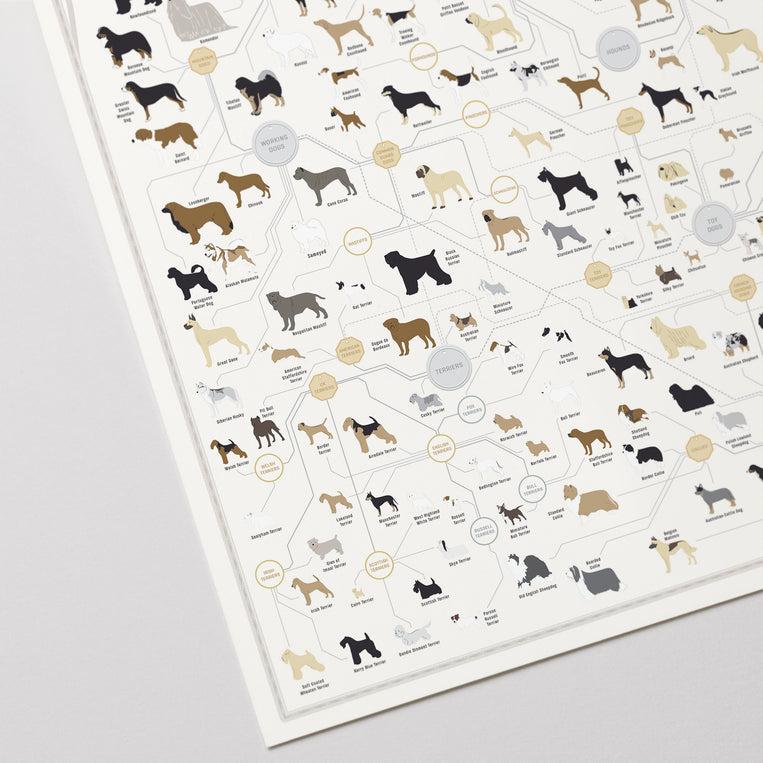 Pop Chart Lab The Diagram Of Dogs – Pop Chart