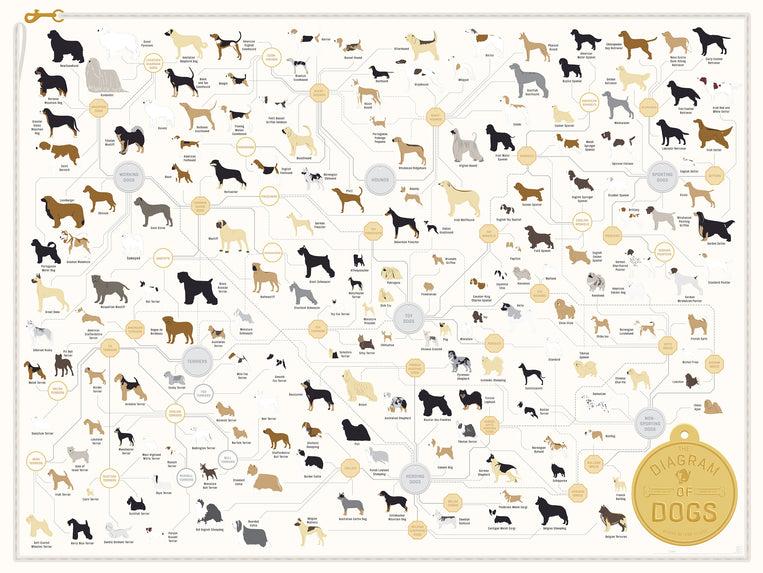 pop chart lab The Diagram of Dogs – Pop Chart