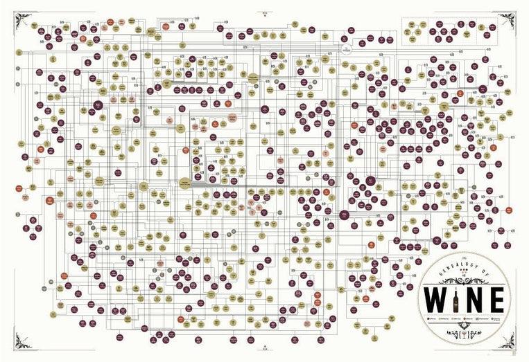 pop chart lab The Genealogy of Wine – Pop Chart