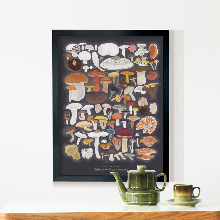 Pop Chart Lab The Chart Of Culinary Mushrooms – Pop Chart