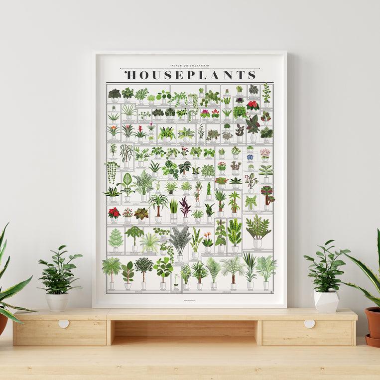 Pop Chart Lab The Horticultural Chart Of Houseplants – Pop Chart