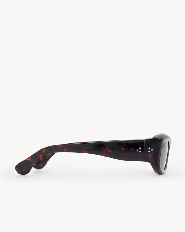 Port Tanger Raptor | Havana Acetate | Tobacco Lens