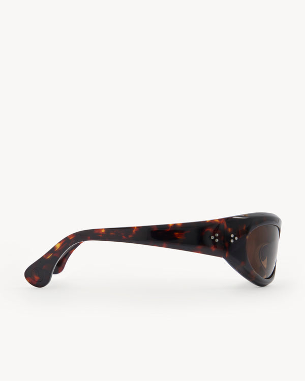 Port Tanger Raven | Havana Acetate | Tobacco Lens