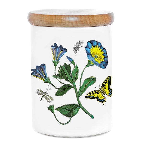 portmeirion Botanic Garden Convolvulus Storage Jar 14cm
