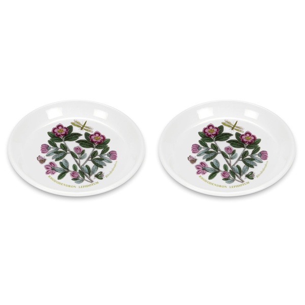 portmeirion Botanic Garden Rhododendron 2 Sweet Dishes