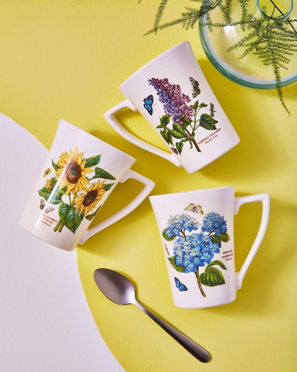 Portmeirion Botanic Garden Set Of 6 Mandarin Shape Mugs