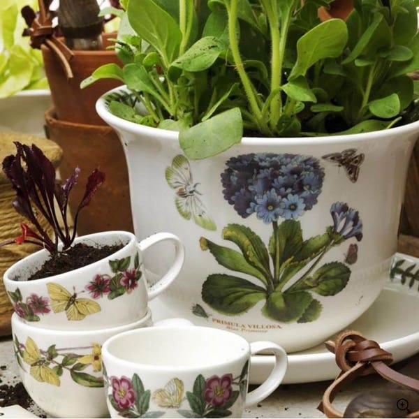 Portmeirion Botanic Garden Amaryllis Pot & Stand