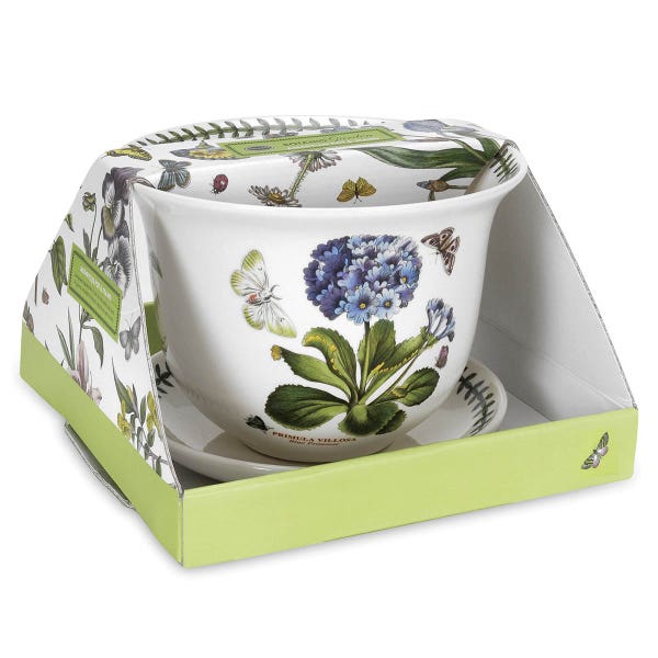 Portmeirion Botanic Garden Amaryllis Pot & Stand