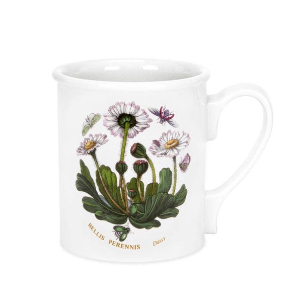 portmeirion Botanic Garden Daisy Breakfast Mug
