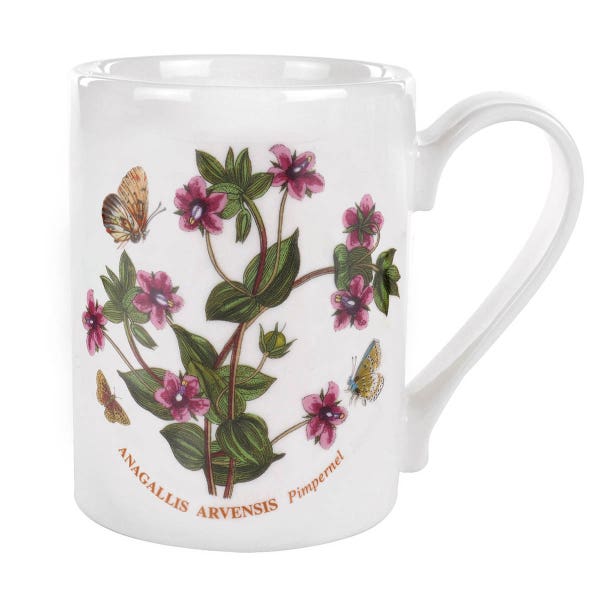 portmeirion Botanic Garden Pimpernel Coffee Mug