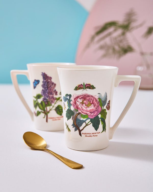 Portmeirion Botanic Garden Set Of 2 Manadarin Mugs